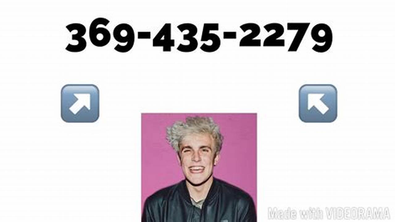 Jake Paul'S Phone Number 2024