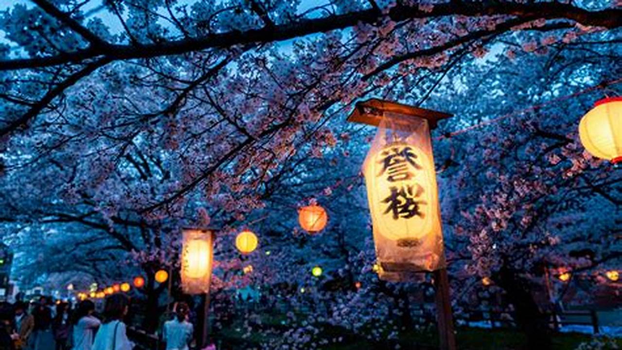 Japanese Cherry Blossom Festival - Kitti Lindsay