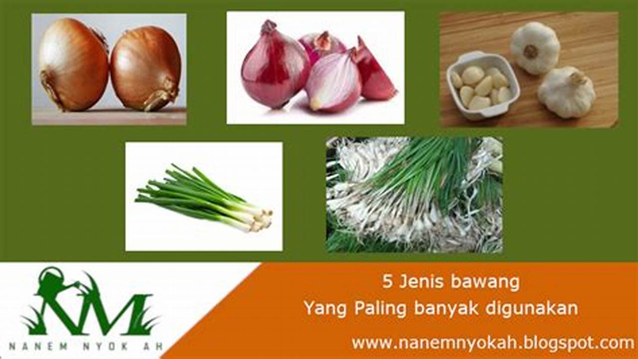 Jenis Bawang, Resep6-10k