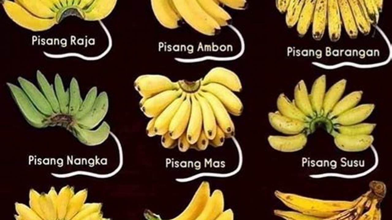 Jenis Pisang (pisang Kepok/pisang Ambon), Resep3