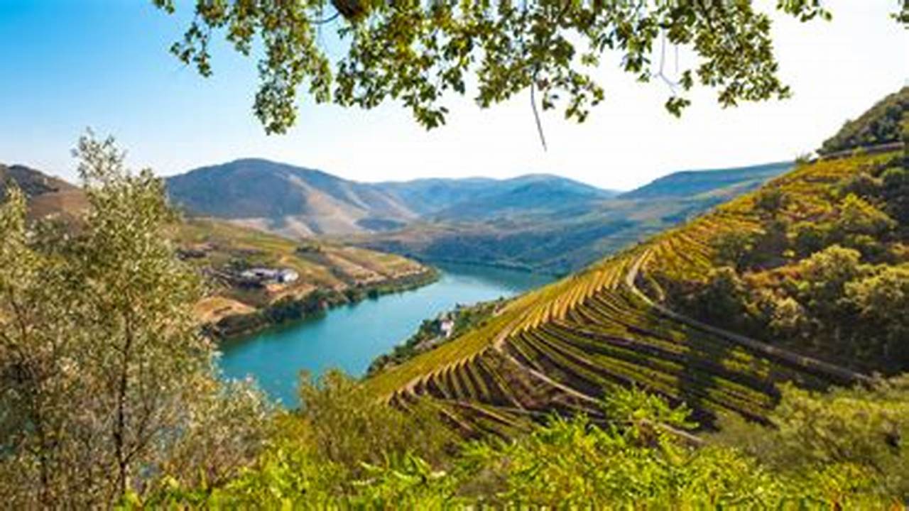 Journey Through The Douro River Valley And Into The History Of Fine Portuguese Wine., 2024