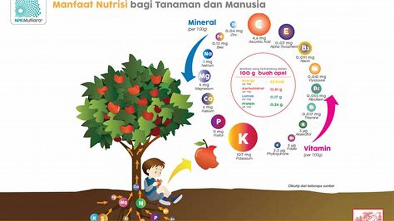 Kandungan Nutrisi, Tanaman