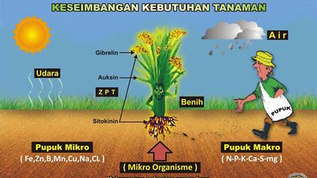 Kebutuhan Tanaman Terhadap Suhu Yang Tepat, Air,., Pohon