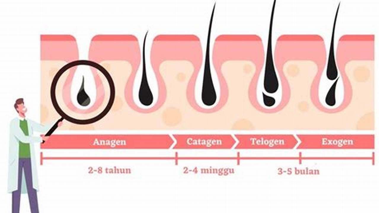 Kecepatan Pertumbuhan, Penyubur Rambut