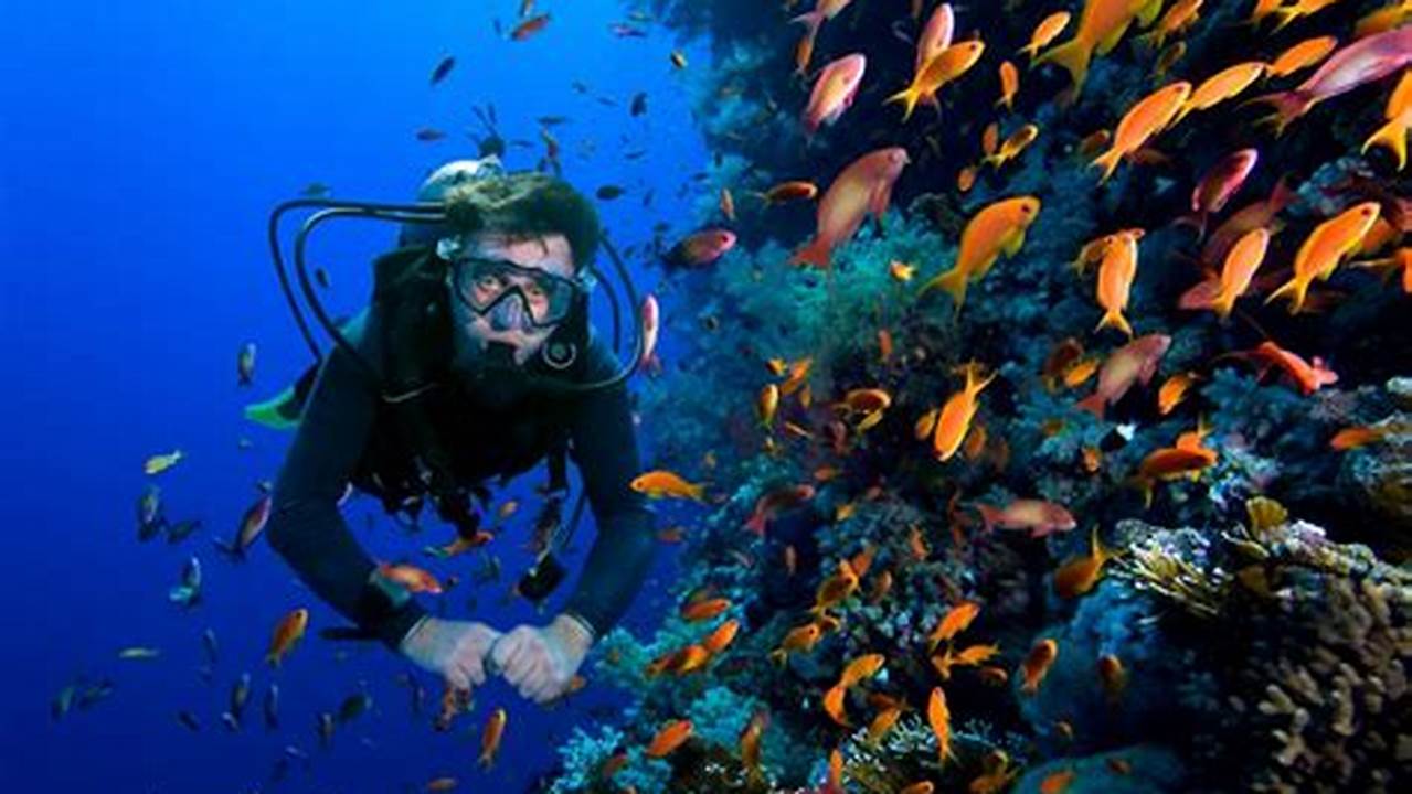 Kekayaan Bawah Laut, Wisata