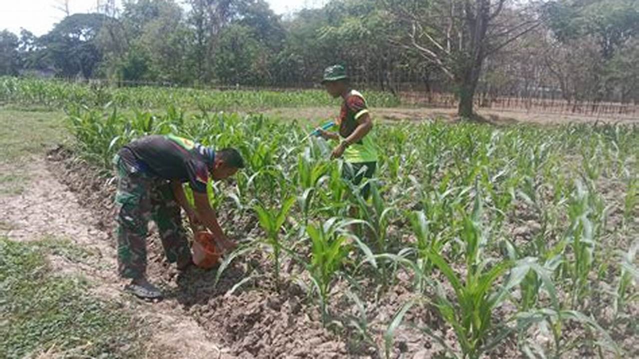 Kemudahan Perawatan (pembersihan Dan Pemeliharaan), Tanaman