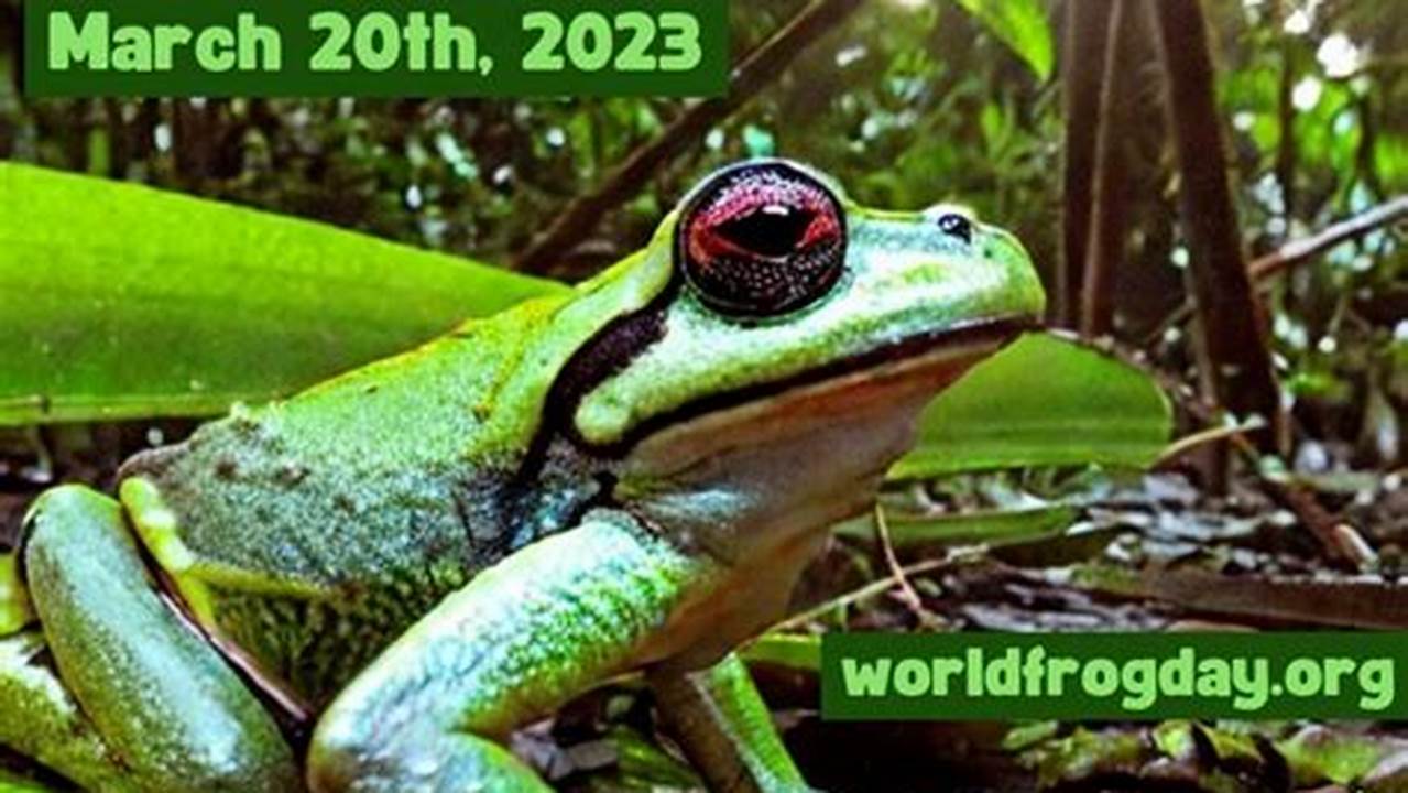 Kerry Kriger And Other Amphibian Experts On March 20Th, 2023 World Frog Day Amphibian Expert Panel That Was Hosted By In Defense Of., 2024
