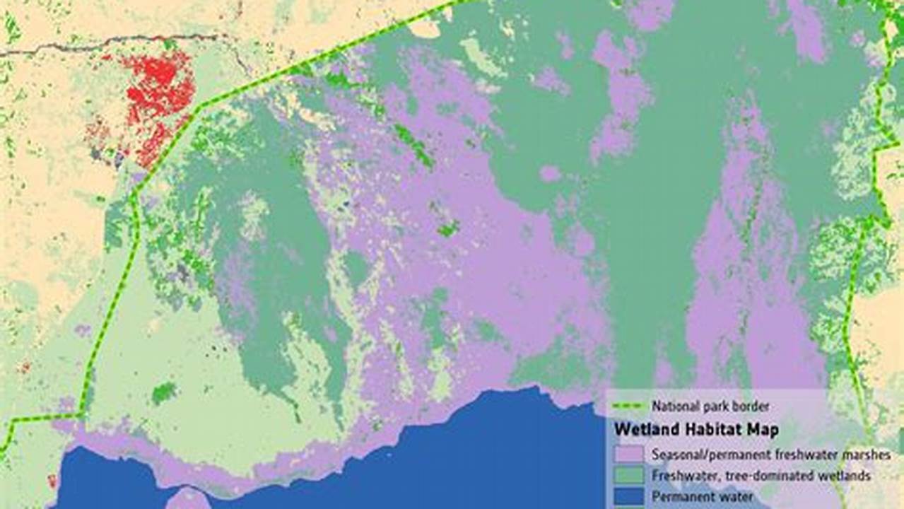 Km Of Wetlands In The., 2024
