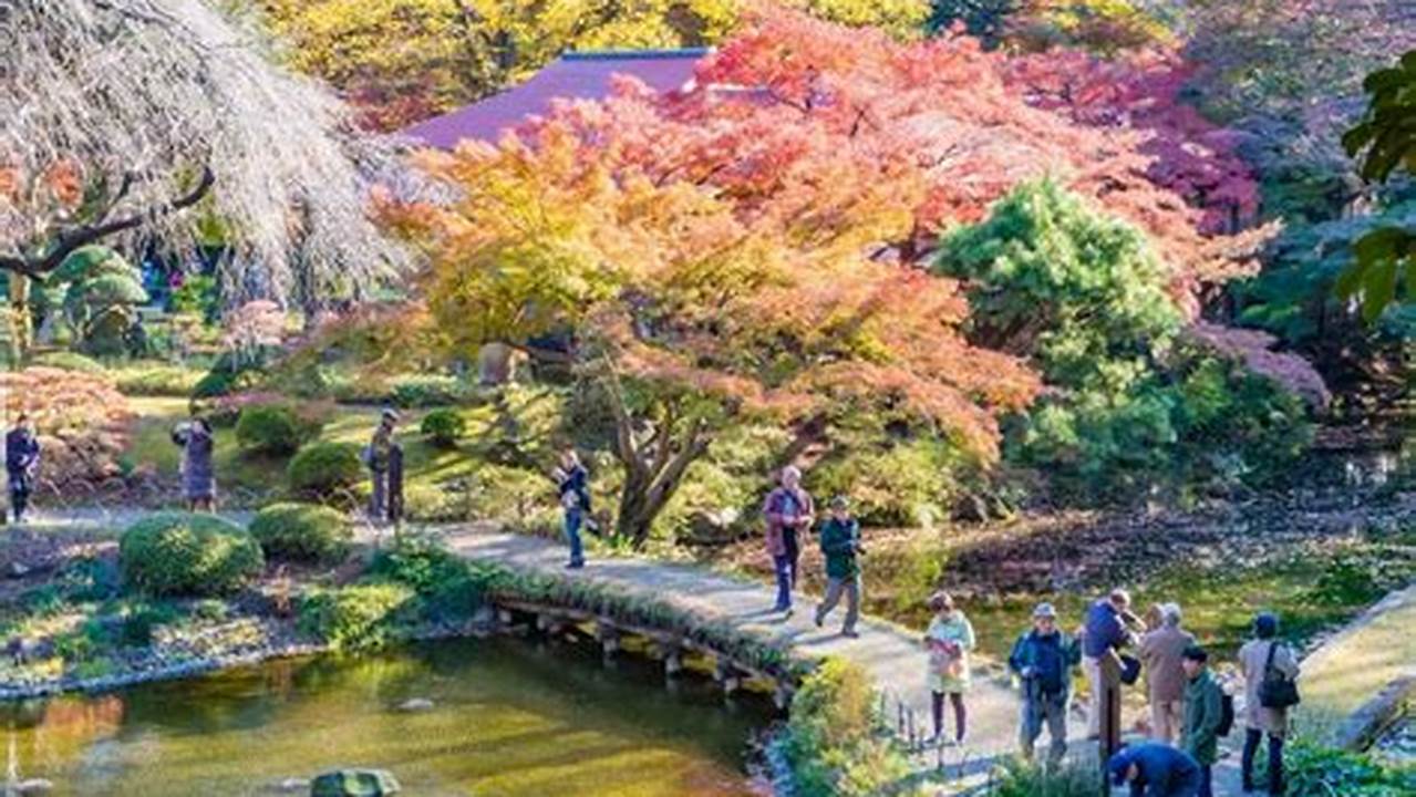 Koishikawa Korakuen Park Is One Of Tokyo&#039;s Prettiest Traditional Gardens.its Main Attraction During The Cherry Blossom Season Are Some Beautiful Weeping Cherry., 2024