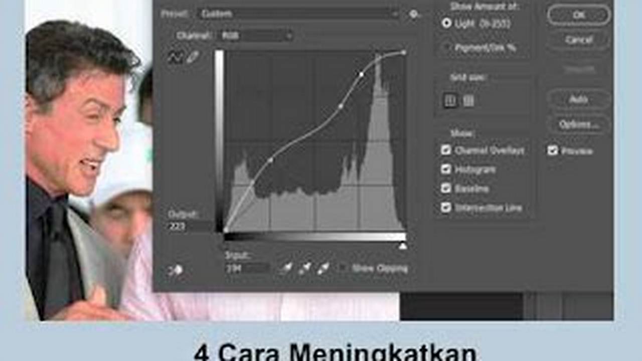 Kualitas Gambar, Tutorial