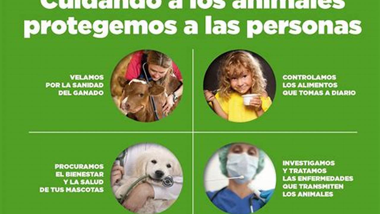 La Importancia Del Cuidado De Los Animales, Il Ninos