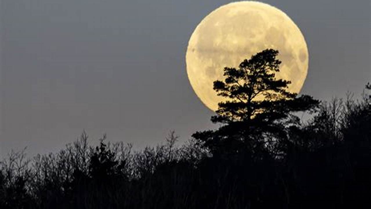 La Luna Llena Del Gusano, Llegará A Su Punto Máximo El Próximo Día 25, A Las 8.00 De La Mañana (Hora., 2024