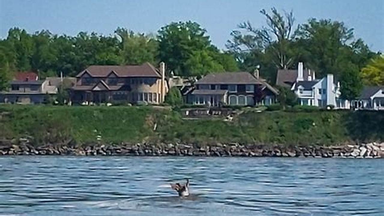 Lake Erie Drowning 2024