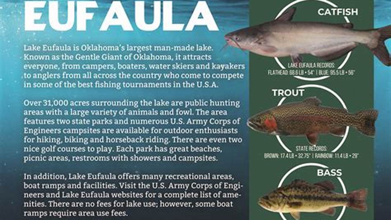 Lake Eufaula Fishing Tournaments 2024