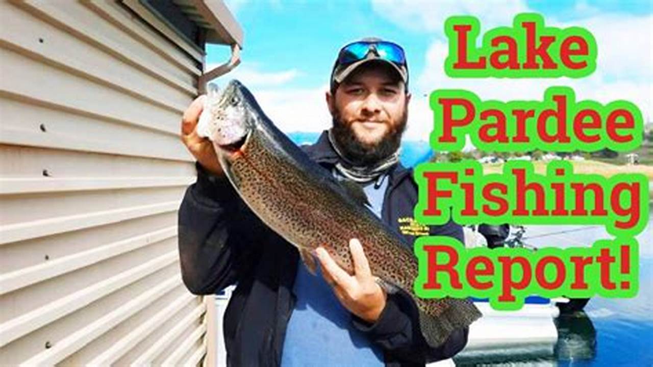 Lake Pardee Fishing Report 2024