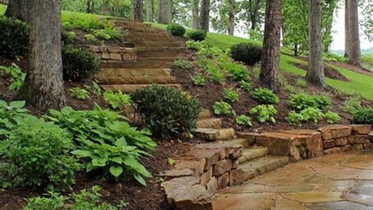 Expert Tips for Landscaping Around Trees on Slopes