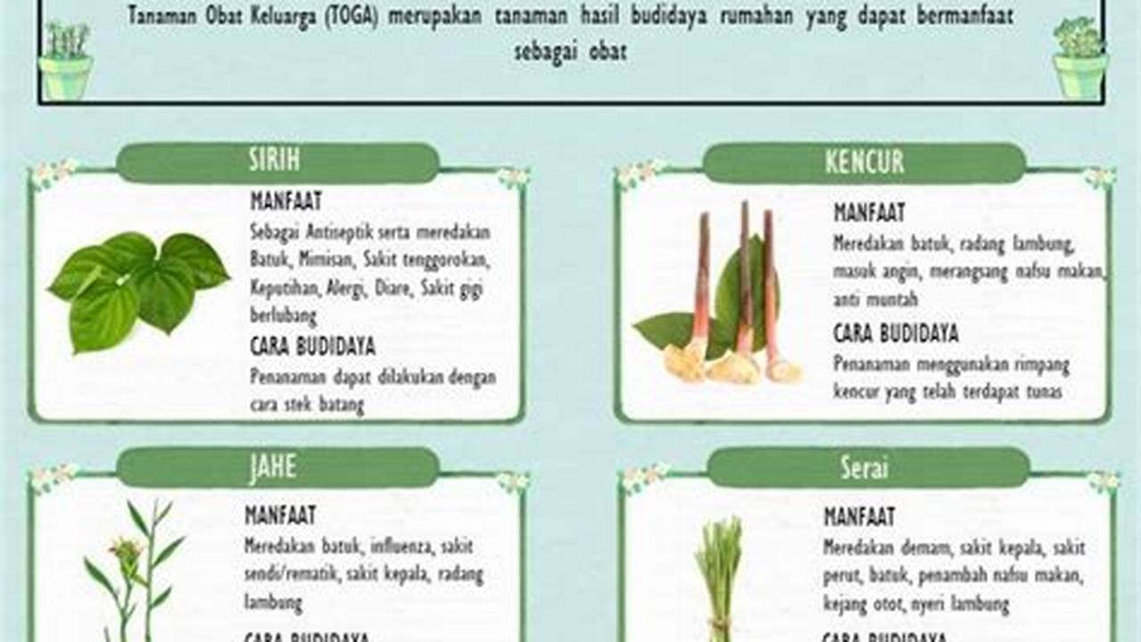 Langkah-langkah, Tanaman Obat Keluarga