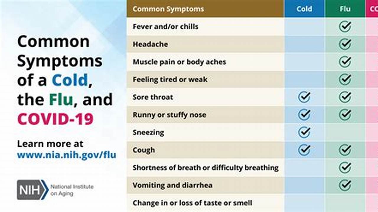 Latest Flu Symptoms 2024