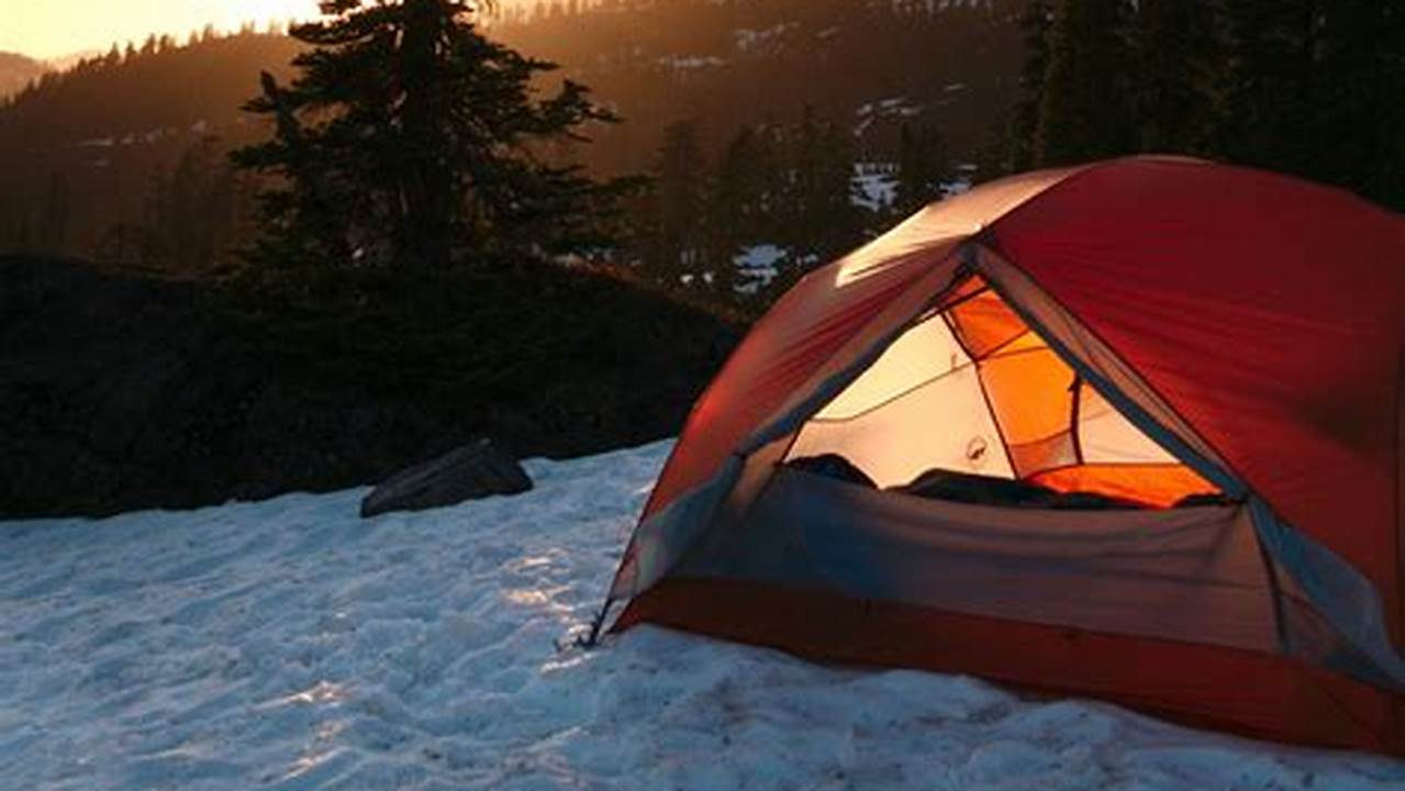 Latest Innovations And Trends, Camping