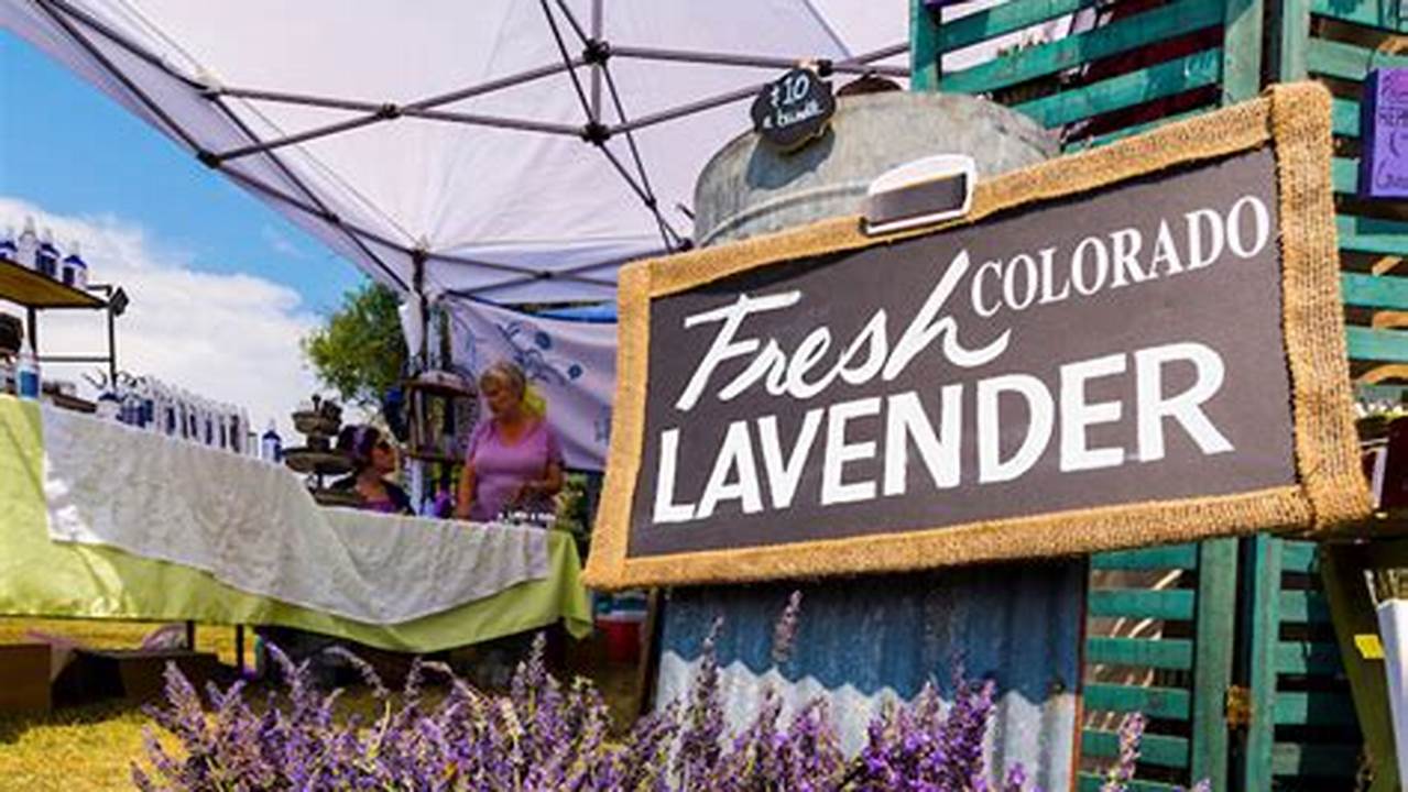 Lavender Festival 2024 California