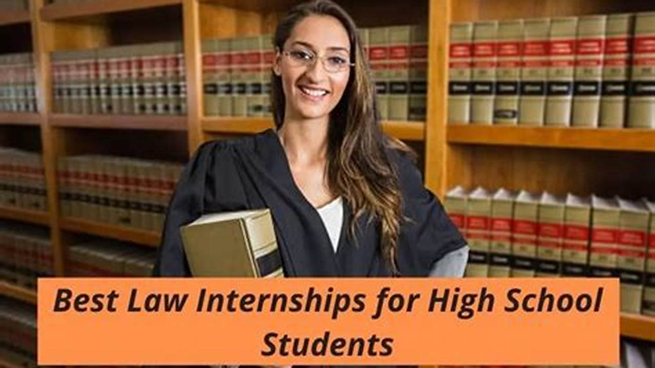 Law Internships Summer 2024