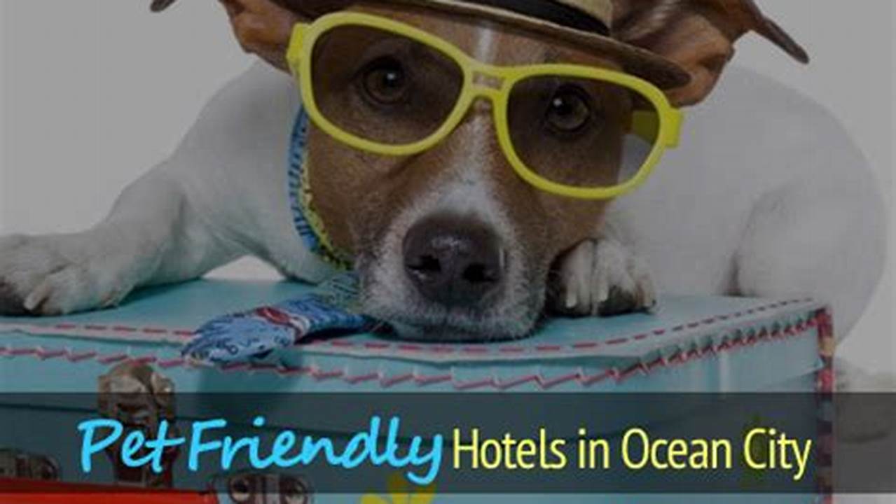 Leash Laws, Pet Friendly Hotel