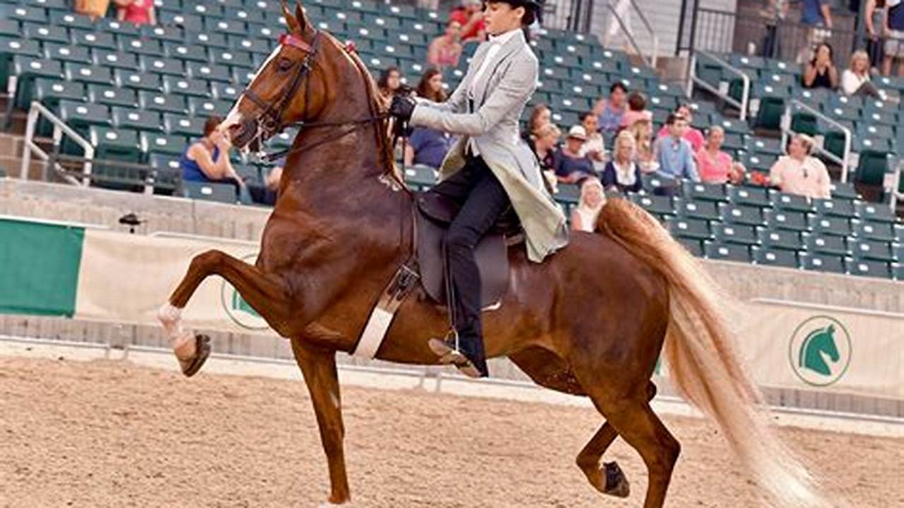 Lexington Junior League Horse Show 2024
