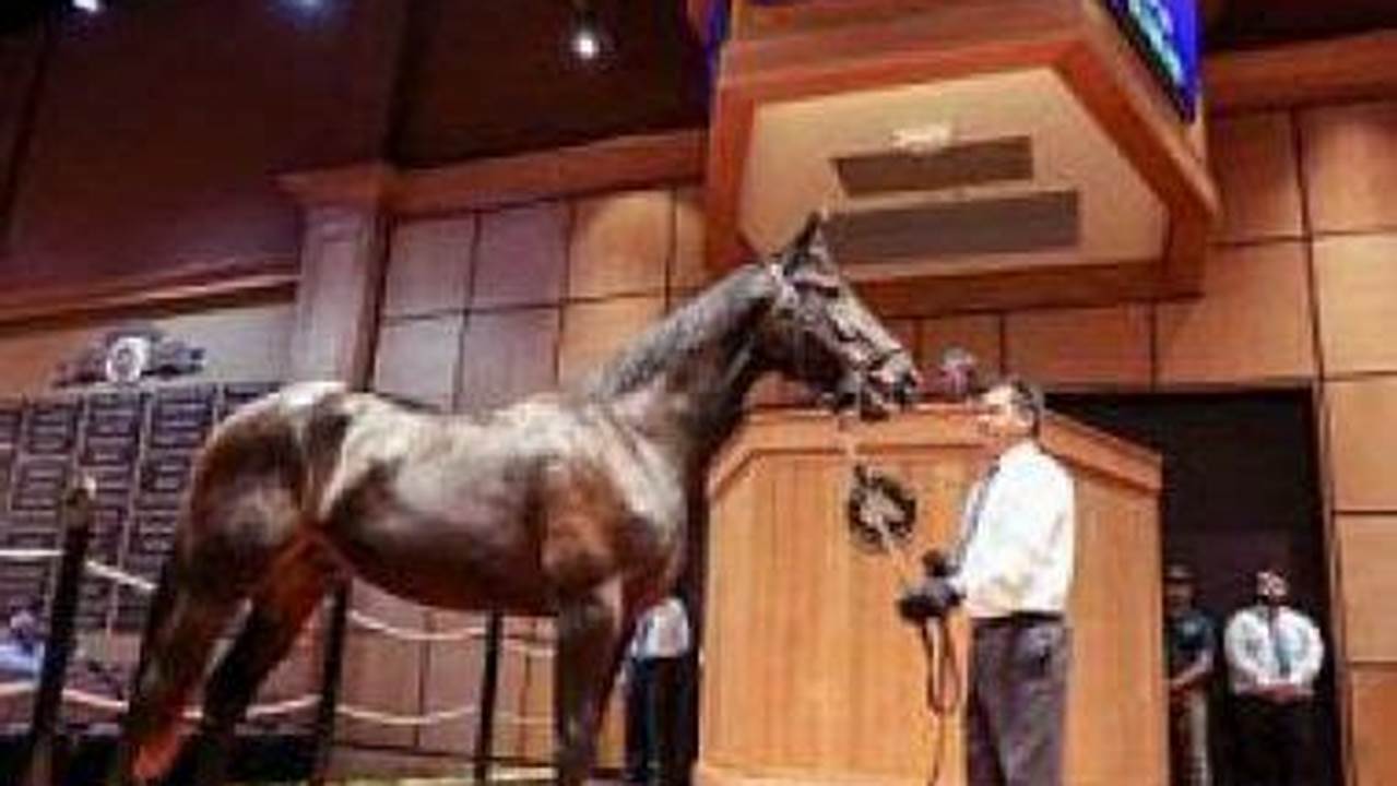 Lexington Selected Yearling Sale 2024 Results