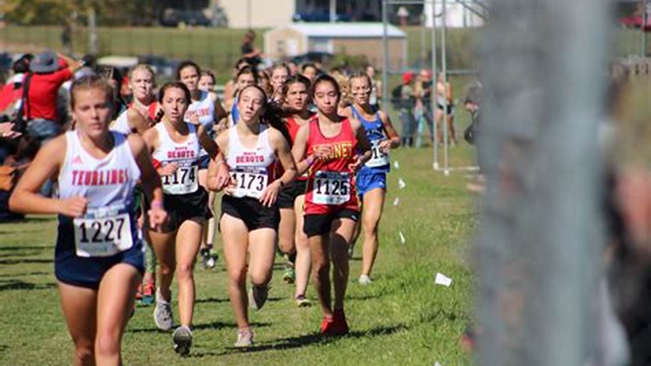 Lhsaa Cross Country State Meet 2024