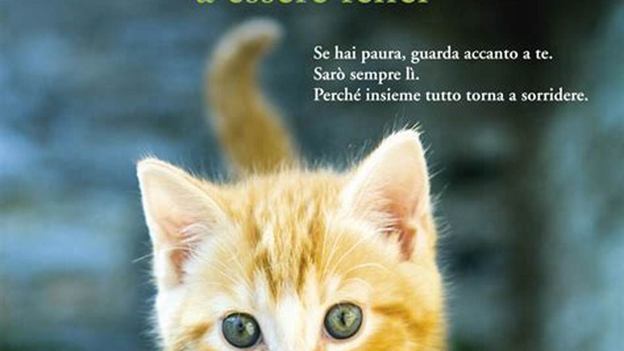 Libro Il Gatto Che Insegnava Ad Essere Felici