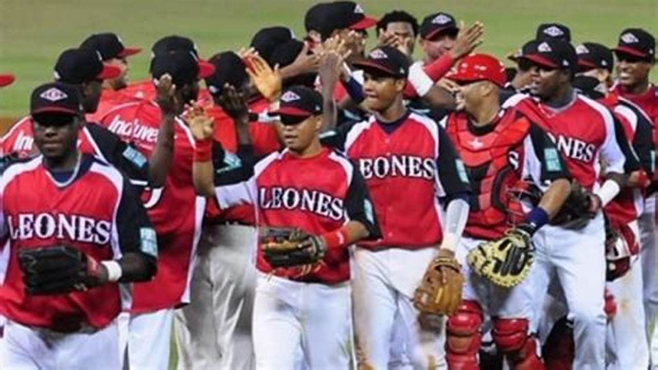 Liga Dominicana De Beisbol 2024