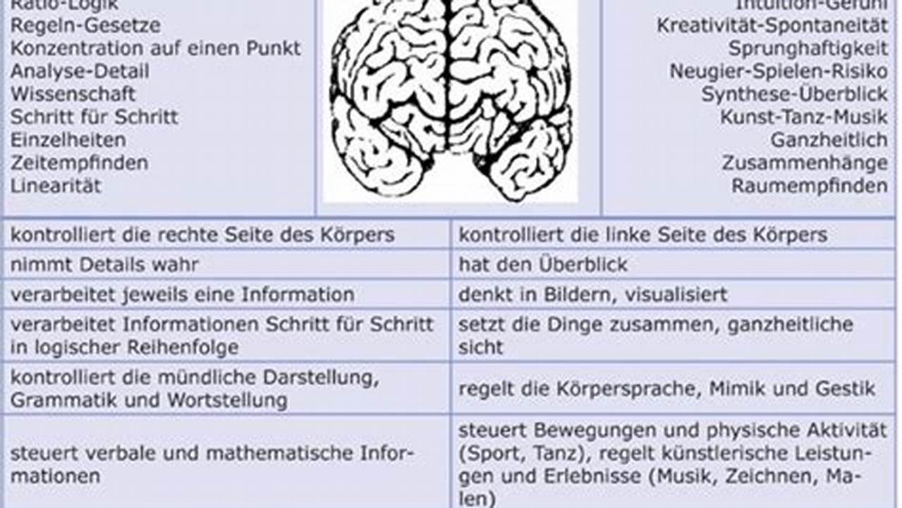 Linke Gehirnhälfte Dominant, Wo