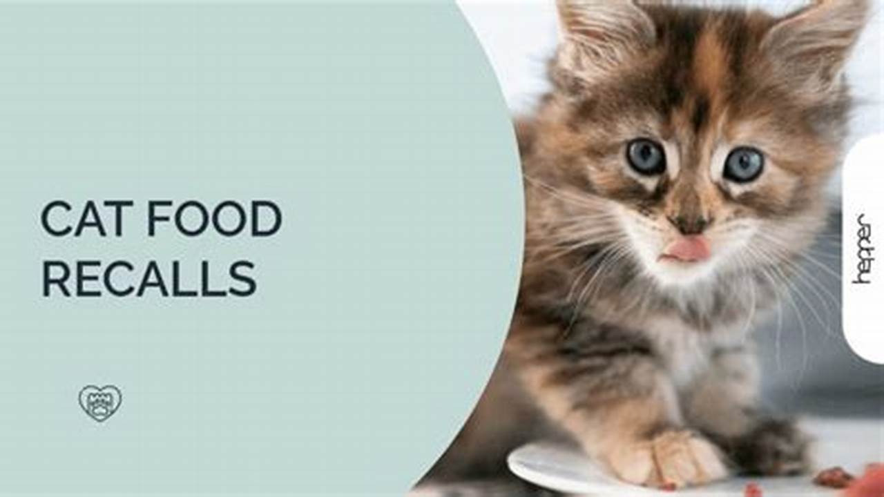 List Of Cat Food Recalls 2023, 2024