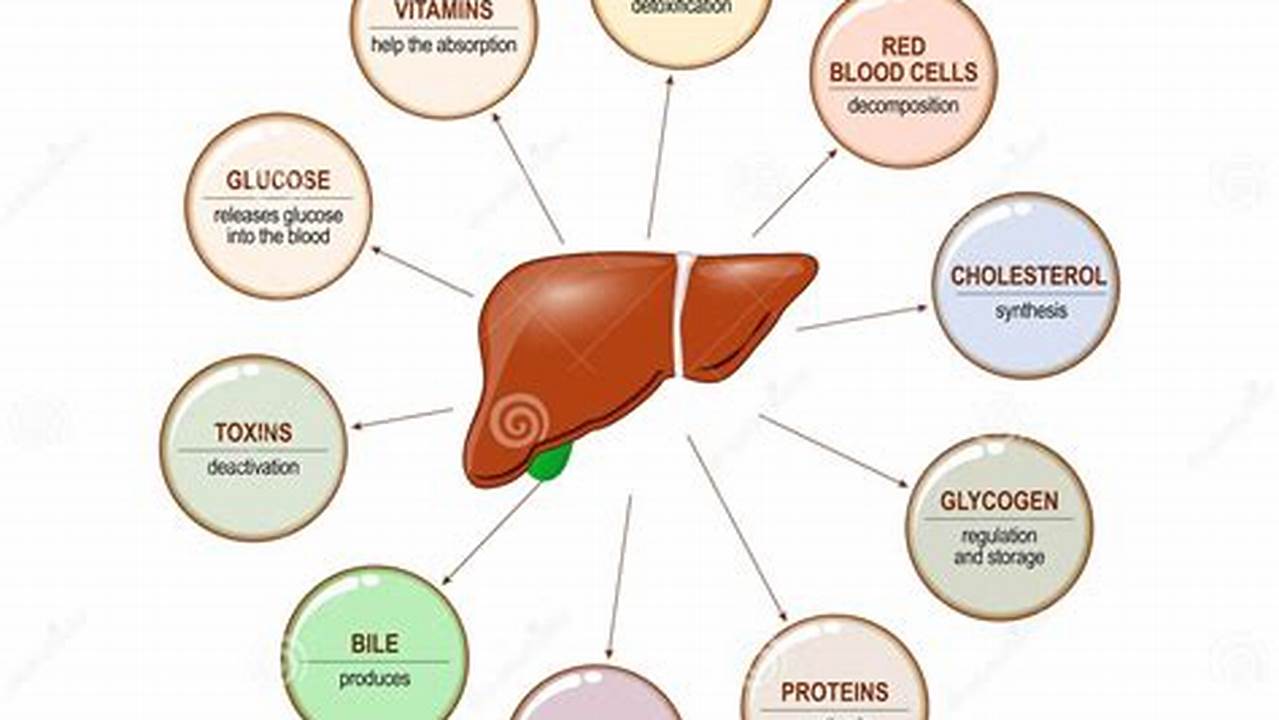 Liver Function, Aromatherapy