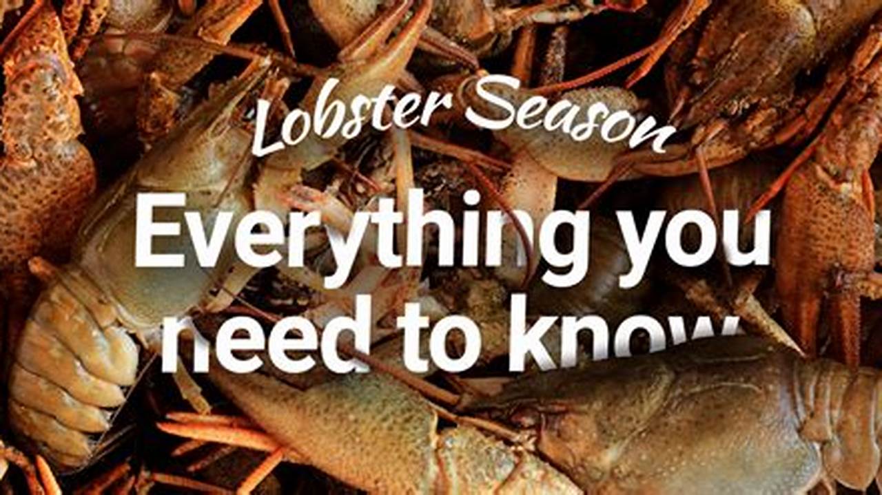Lobster Season 2024