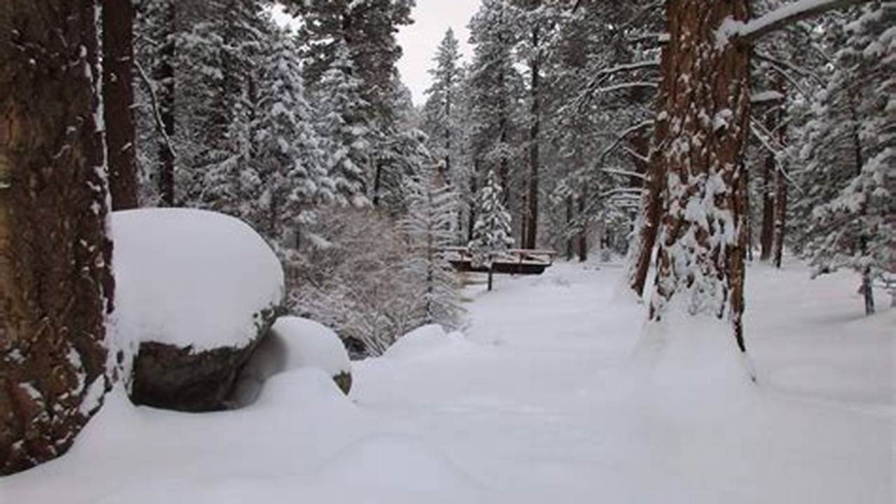 Lugares Con Nieve En California 2024