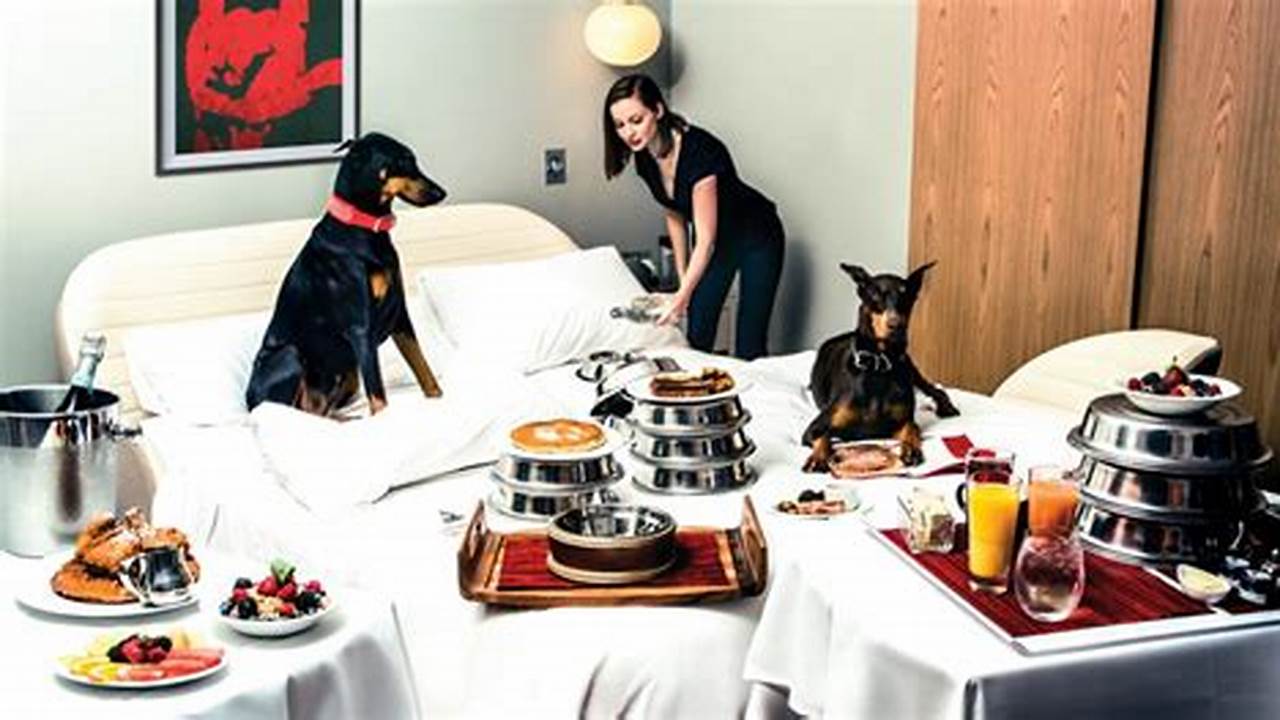 Luxury Accommodations, Pet Friendly Hotel