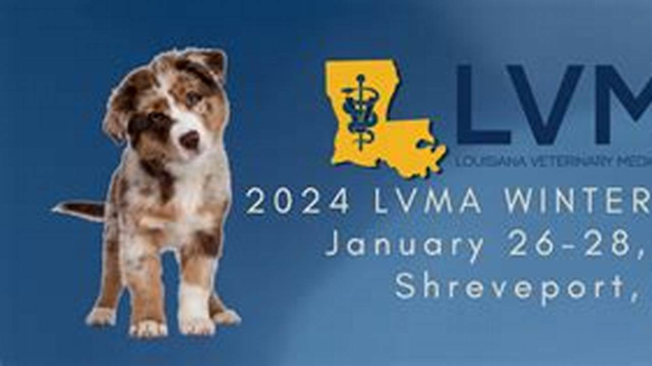 Lvma Winter Meeting 2024
