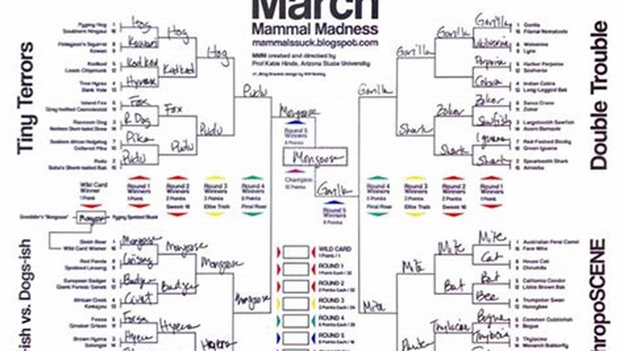 March Mammal Madness 2024 Latin Binomials