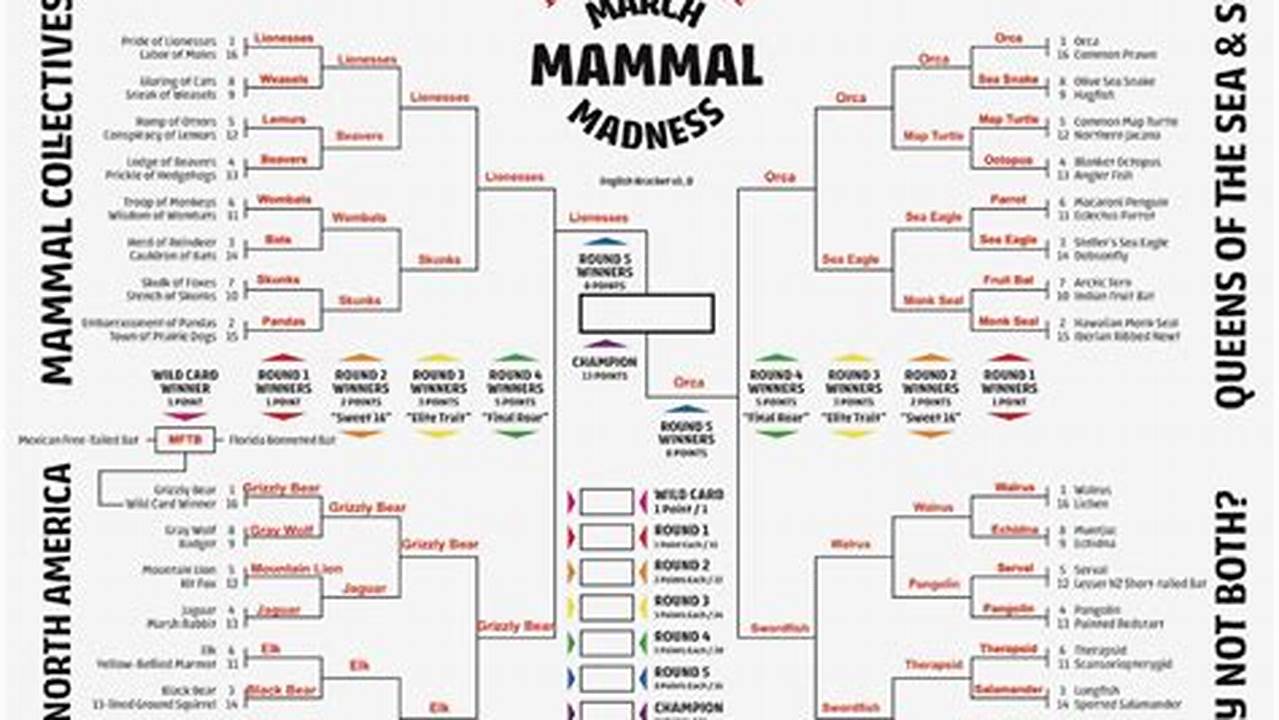 March Mammal Madness Bracket Cheat Sheet 2024