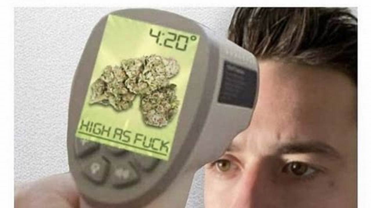 Marijuana Memes 2024