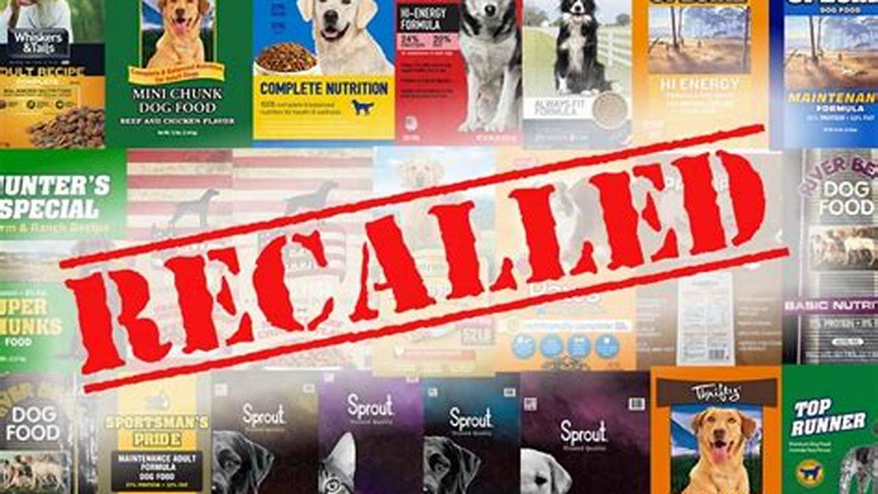 Marty’s Dog Food Products Have Been Recalled In 2024., 2024