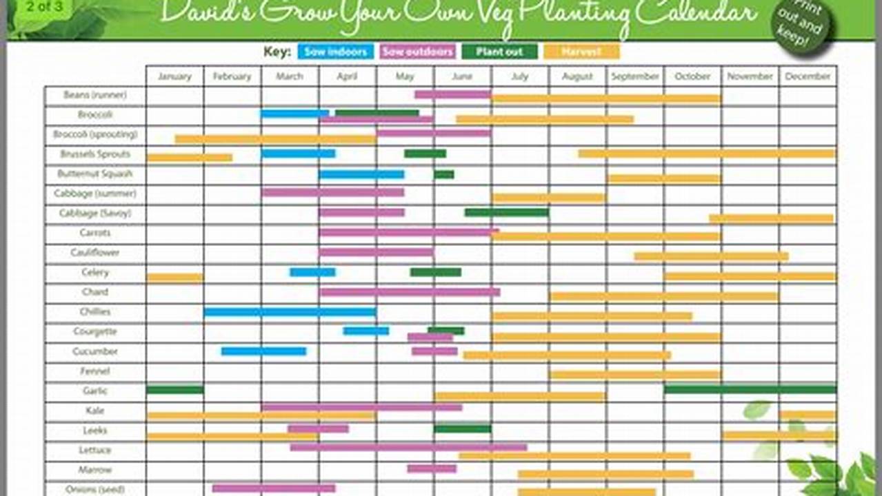 Maryland Vegetable Garden Planting Calendar