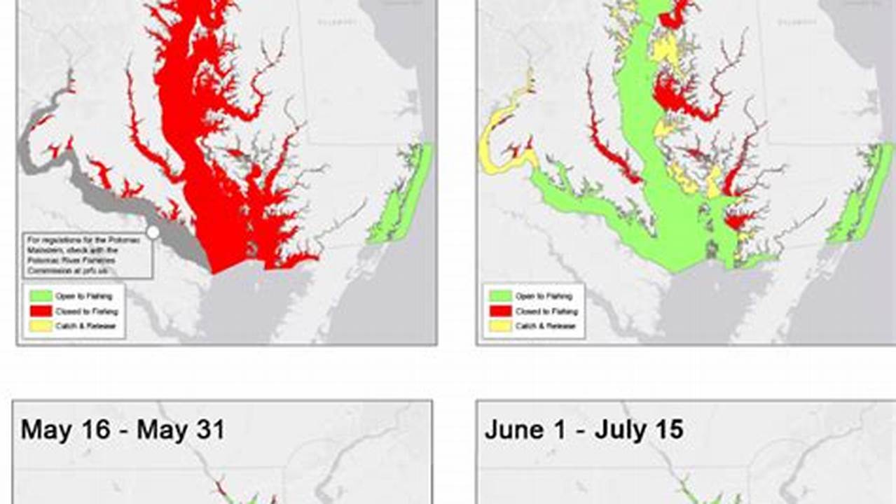 Md Striped Bass Regulations 2024