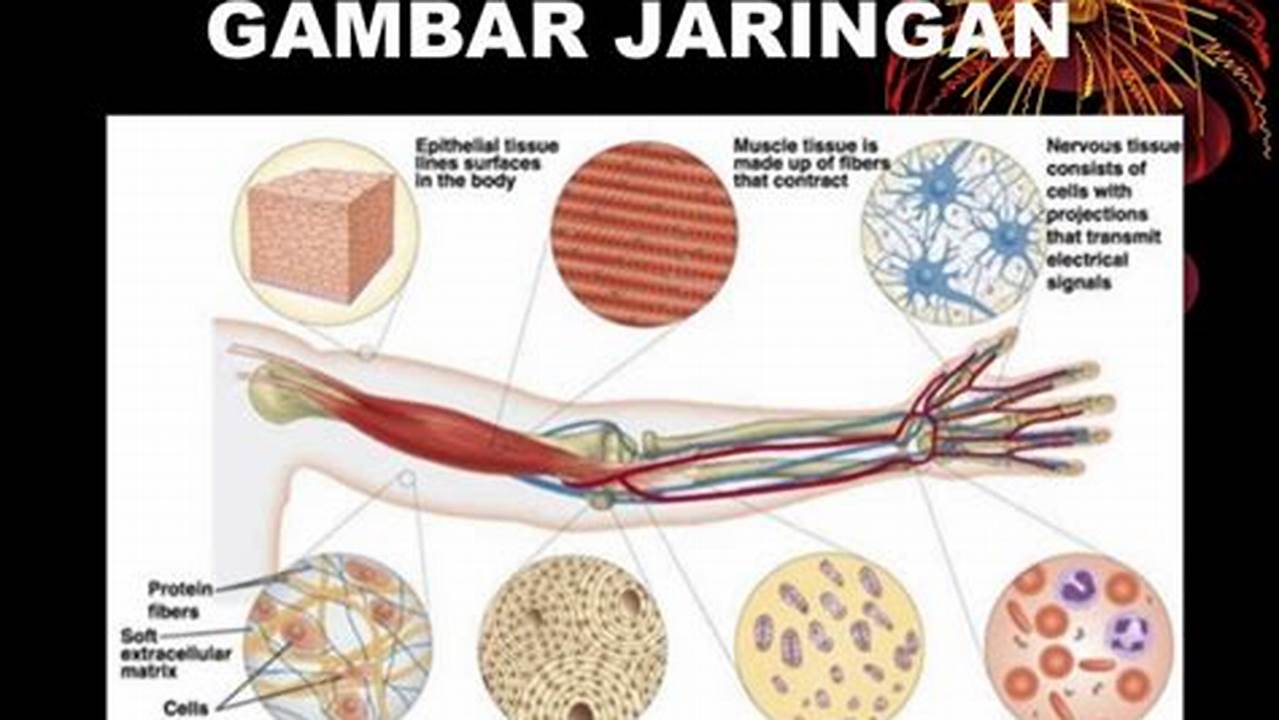 Membangun Jaringan Tubuh, Resep