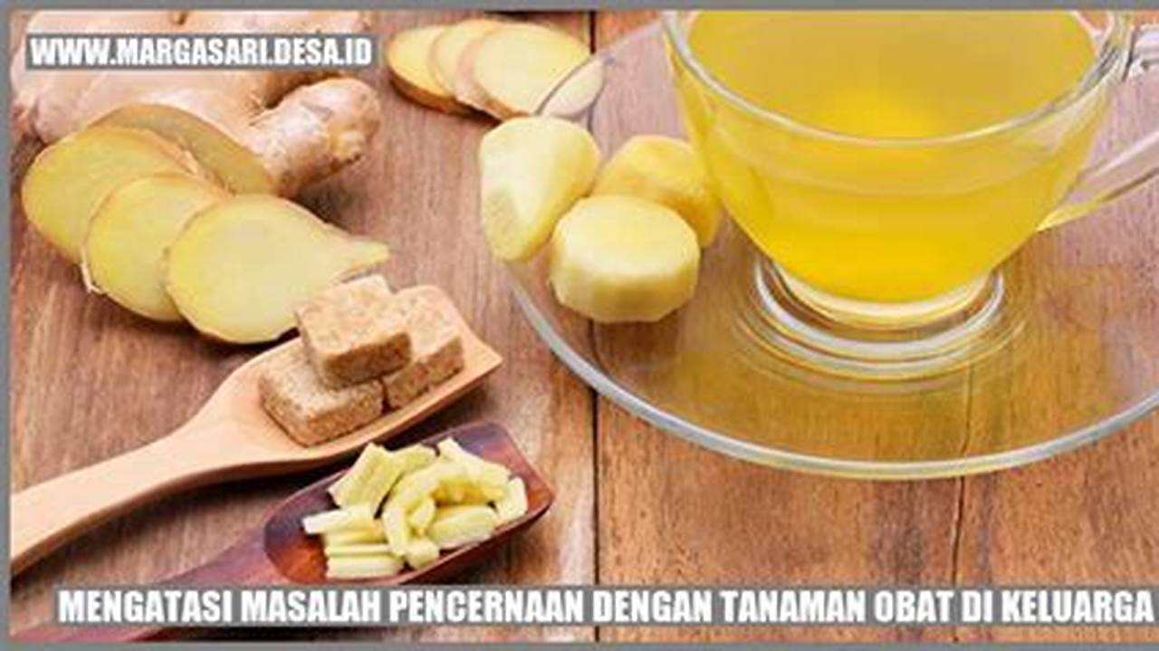 Membantu Pencernaan, Tanaman Obat Keluarga