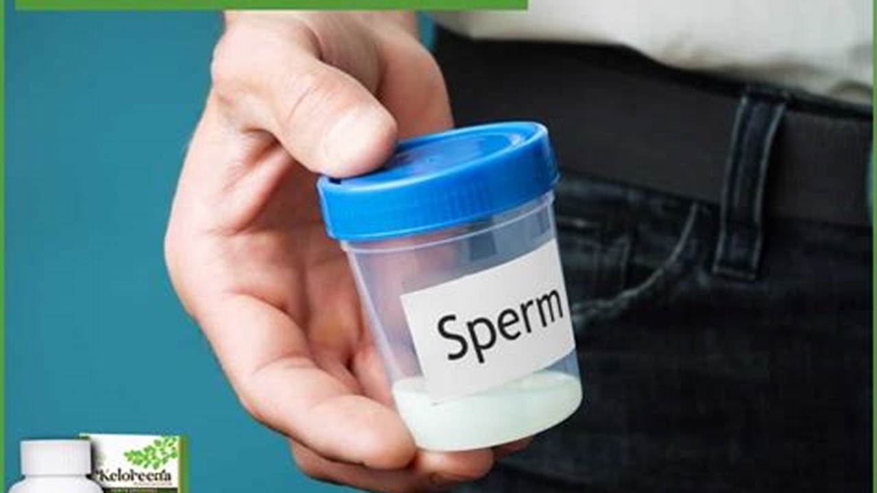 Memperbaiki Kualitas Sperma, Tanaman Obat Keluarga