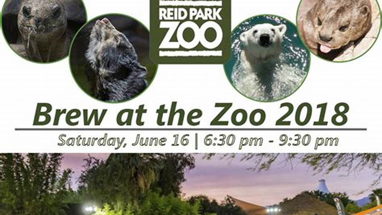 Memphis Zoo Brew 2024 Tacoma