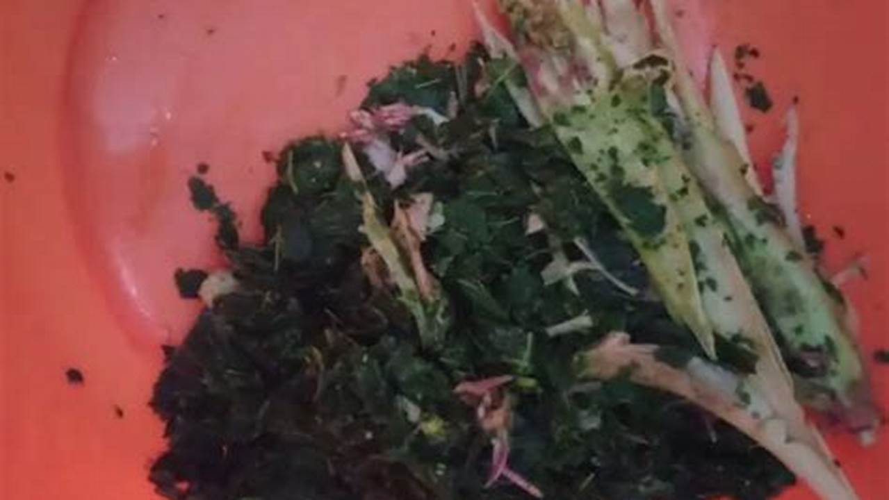 Menghindari Daun Ubi Yang Terlalu Matang, Resep6-10k