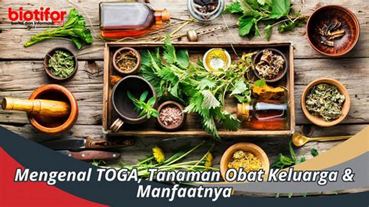 Meningkatkan Kadar Testosteron, Tanaman Obat Keluarga